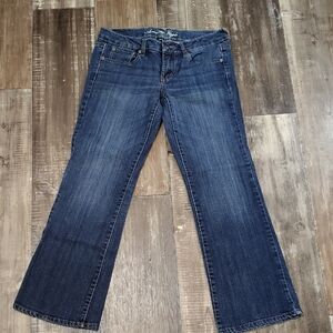 American Eagle Outfitters Indigo Wide Leg Jeans
